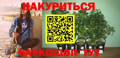 прущие крисы Будённовск