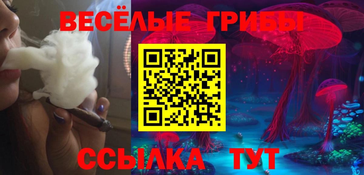 Псилоцибиновые грибы мухоморы  Галлюциногенные грибы Cubensis  Северобайкальск  Вход с VPN 